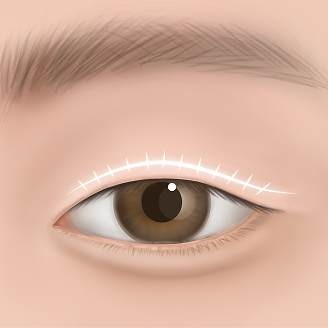 강력하지만 유연한 고정력